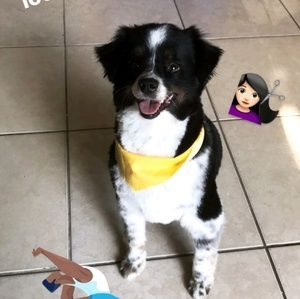 Meet your Posher, Diane